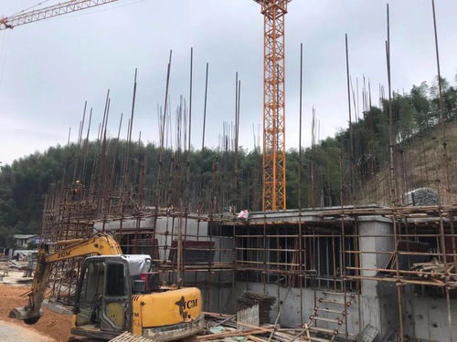 城建民生项目十月第三周通信建设工程进度周报